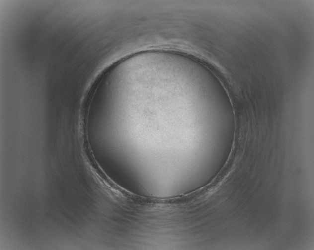 X0000073471506200608181317