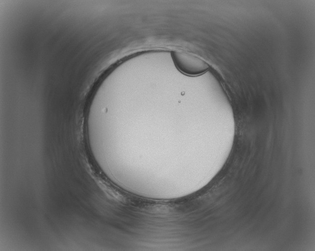 X0000073471507200608181317