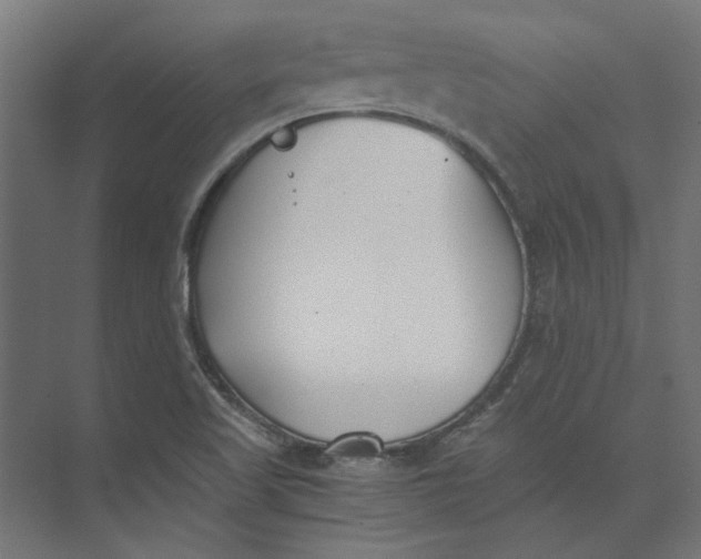 X0000073471509200608181317