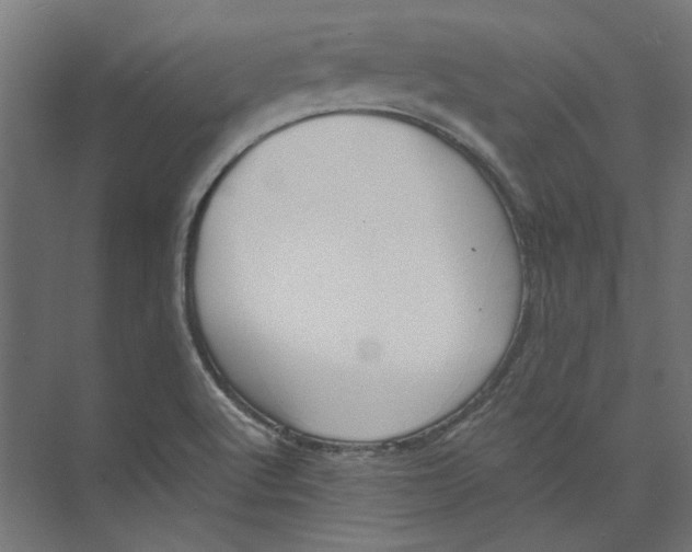 X0000073471512200608181318