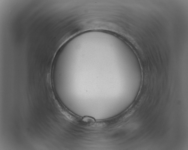 X0000073471513200608181318