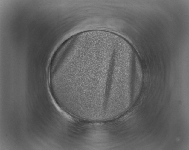 X0000073471515200608181318