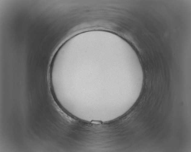 X0000073471516200608181318