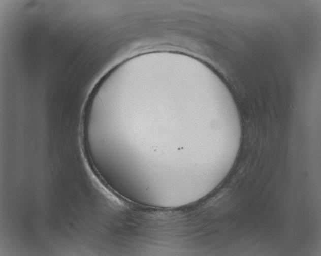 X0000073471518200608181318