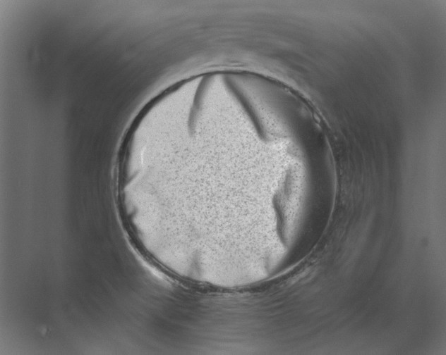 X0000073471519200608181318