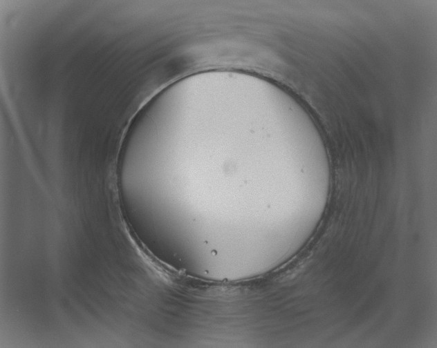 X0000073471521200608181318