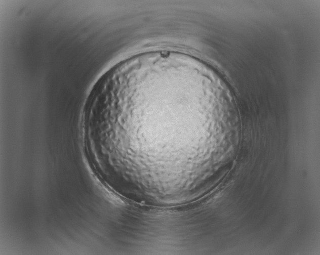 X0000073471522200608181318