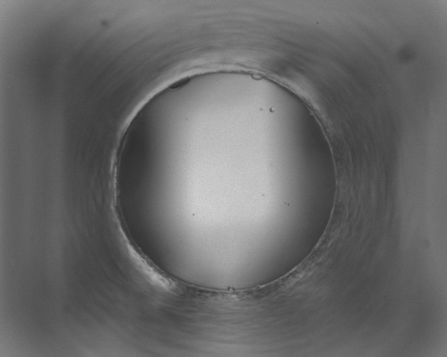 X0000073471524200608181318