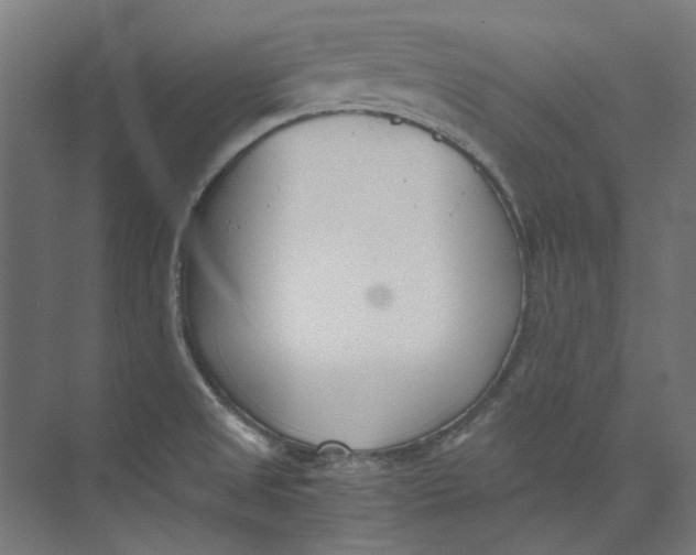 X0000073471525200608181318