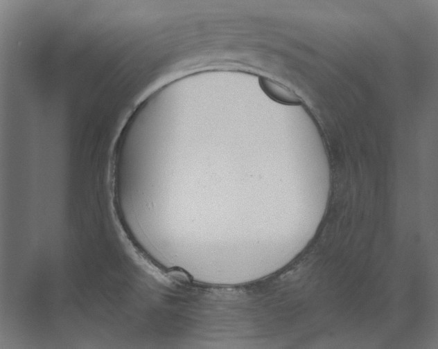 X0000073471526200608181318