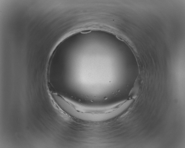 X0000073471530200608181318