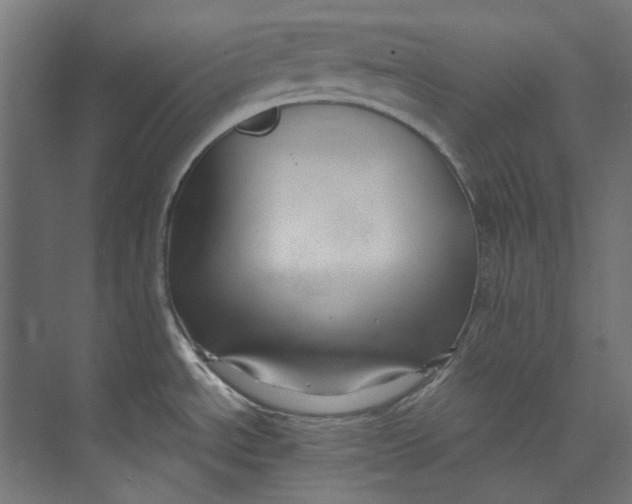 X0000073471534200608181318