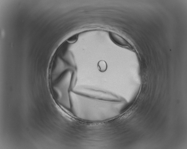 X0000073471535200608181318