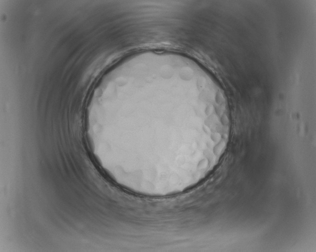 X0000073470002200608251809
