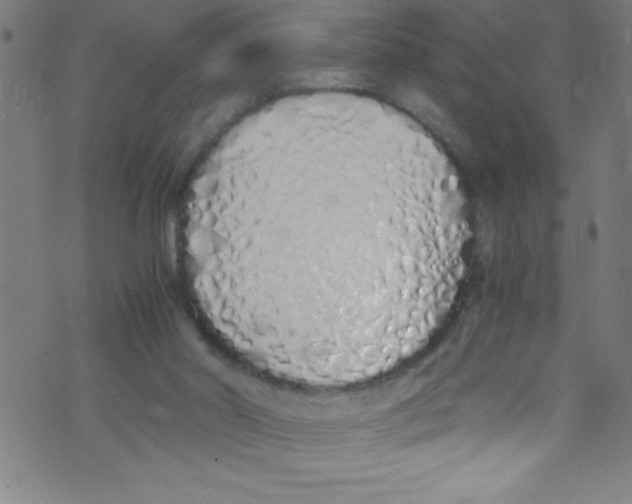X0000073470014200608251808