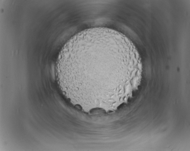 X0000073470022200608251808