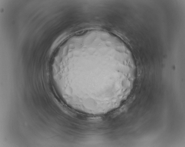 X0000073470053200608251807