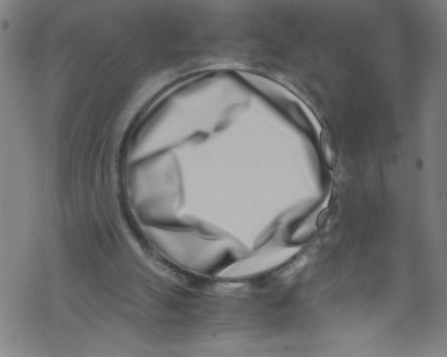 X0000073470055200608251807