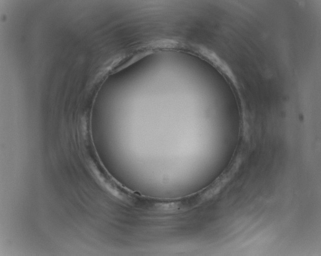 X0000073470057200608251807