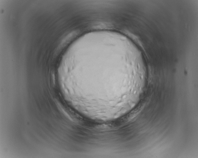 X0000073470061200608251807