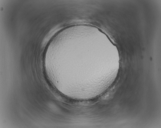 X0000073470103200608251807