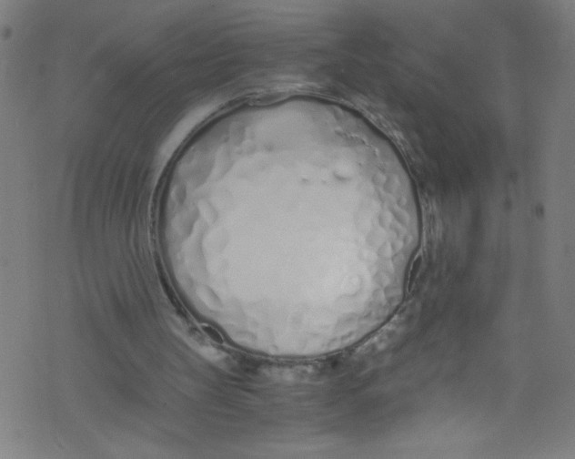 X0000073470147200608251805