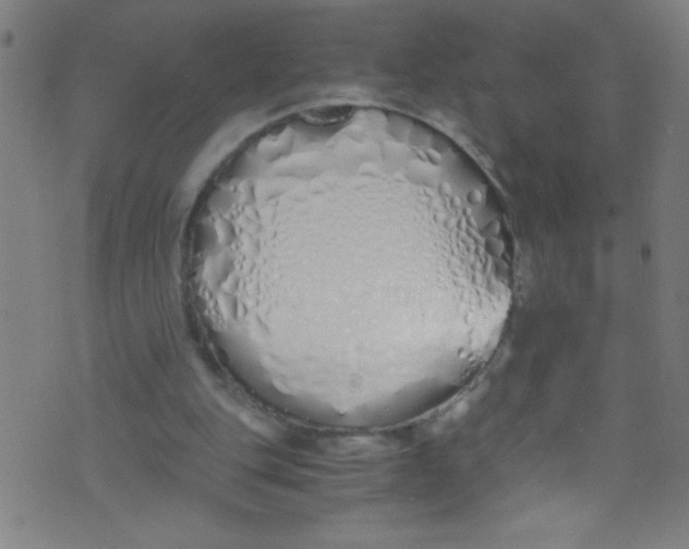 X0000073470151200608251806