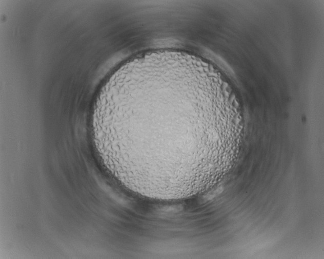 X0000073470155200608251806