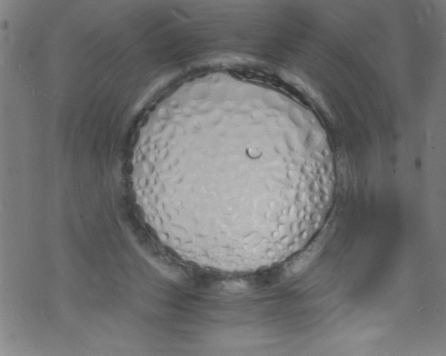 X0000073470159200608251806