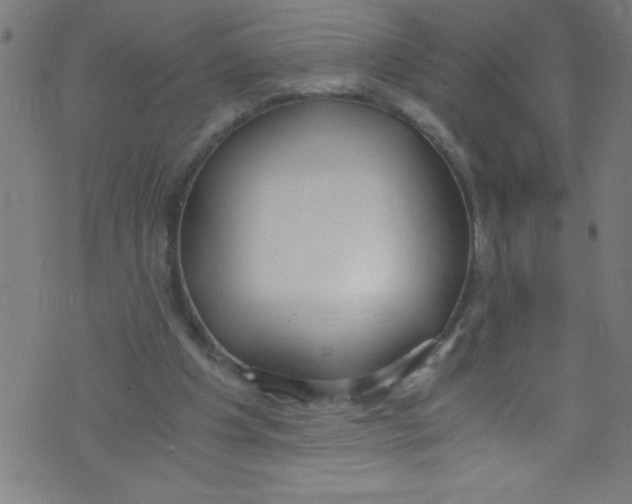 X0000073470201200608251805