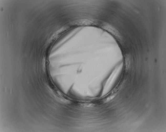 X0000073470206200608251805