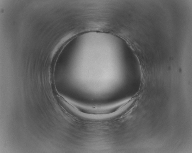 X0000073470244200608251804
