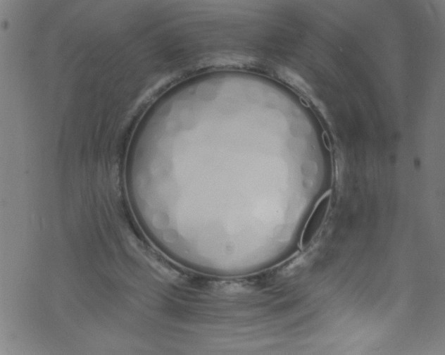 X0000073470249200608251804