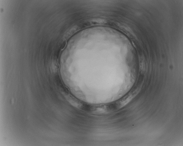 X0000073470285200608251805