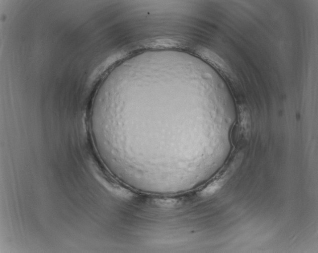 X0000073470302200608251804