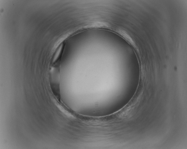 X0000073470389200608251802