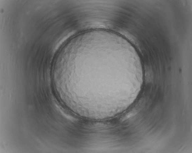 X0000073470390200608251802