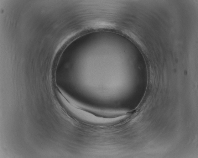 X0000073470391200608251802