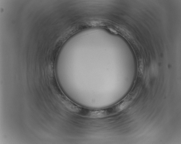 X0000073470461200608251801