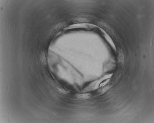 X0000073470465200608251801