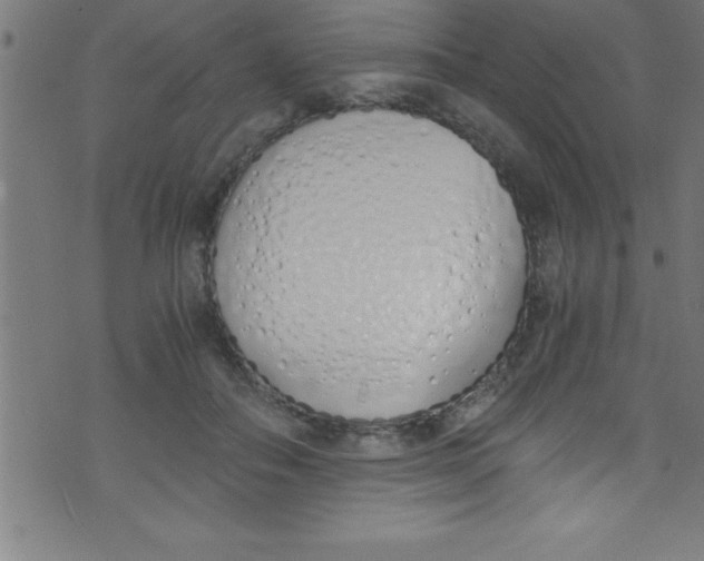 X0000073470506200608251800
