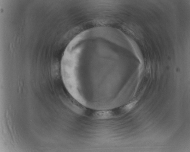 X0000073470526200608251800