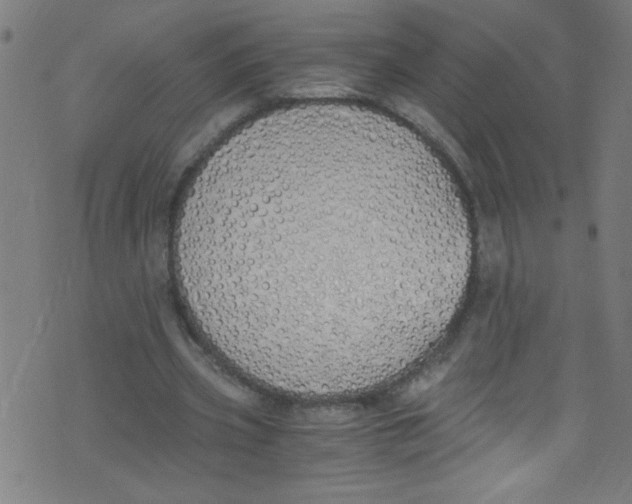 X0000073470533200608251759