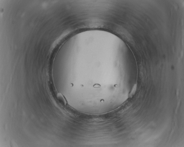 X0000073470536200608251759