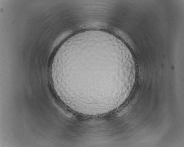 X0000073470578200608251759