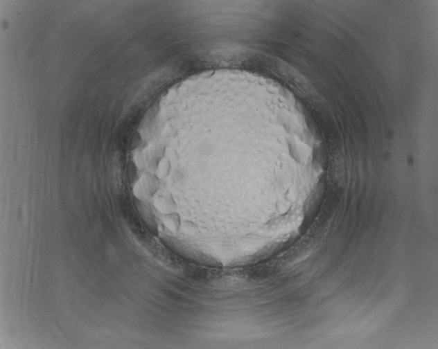 X0000073470594200608251759