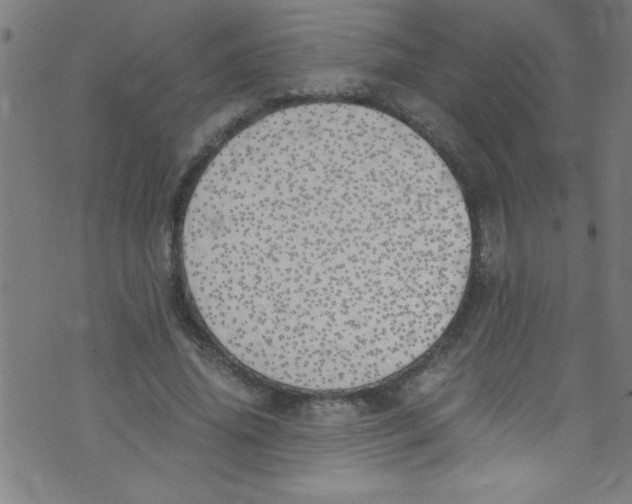 X0000073470636200608251758