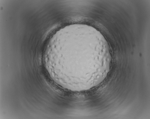 X0000073470640200608251758