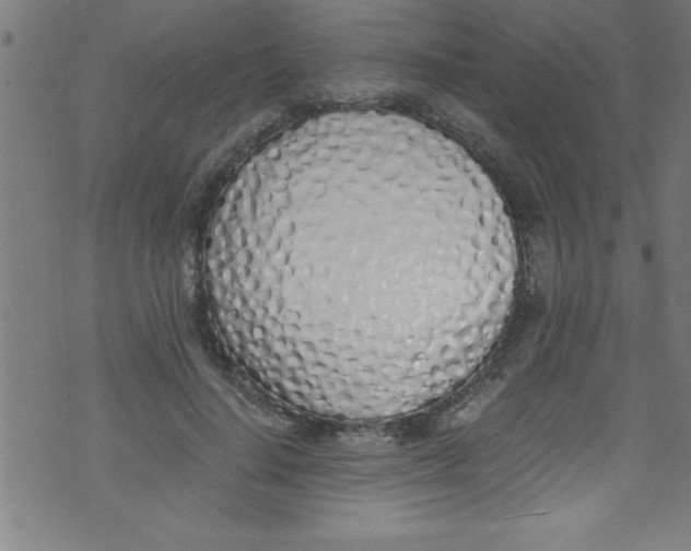 X0000073470644200608251758