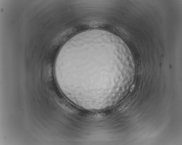 X0000073470646200608251758